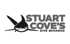 Stuart Cove's