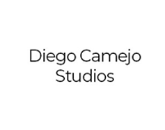 partners-diego-camejo-studios