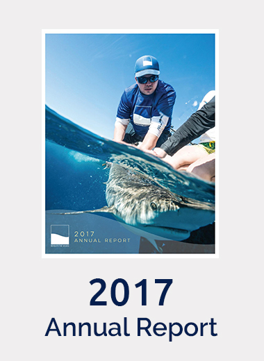 BTW-Annual-Report-Graphics-2017